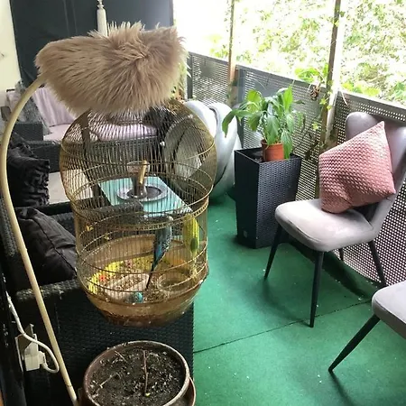 Sabrina *